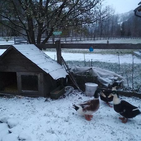 Gaestehaus Blonbauer Διαμέρισμα Schladming Εξωτερικό φωτογραφία