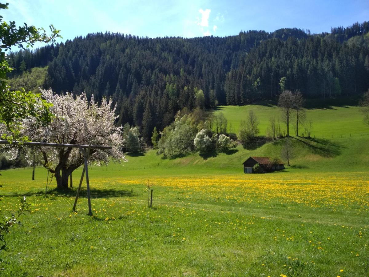 Gaestehaus Blonbauer Διαμέρισμα Schladming Εξωτερικό φωτογραφία
