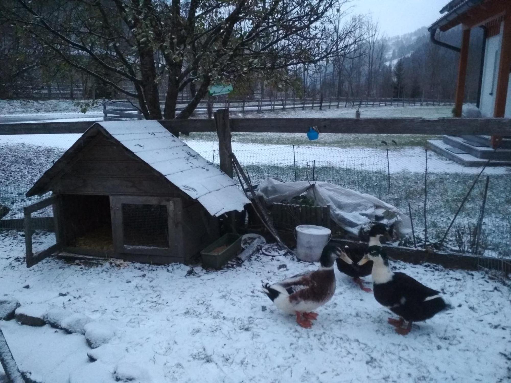 Gaestehaus Blonbauer Διαμέρισμα Schladming Εξωτερικό φωτογραφία